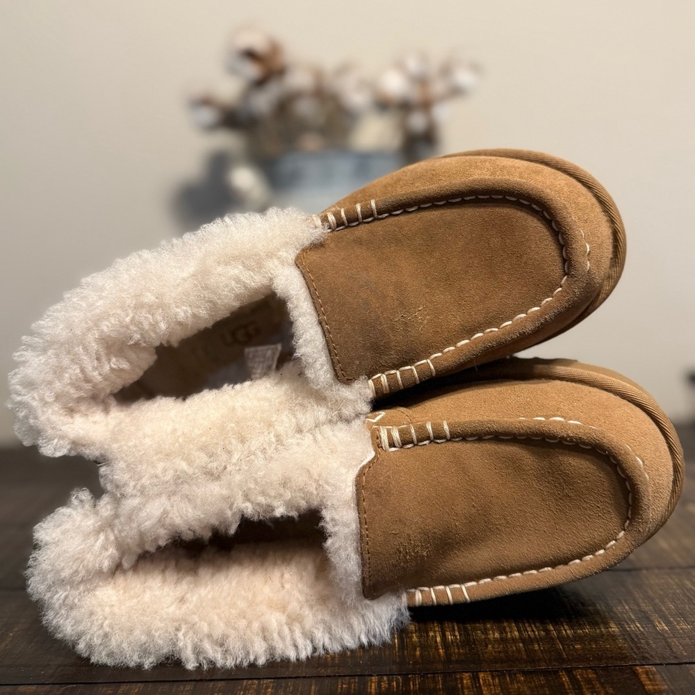 UGG Ansley Parc slipper in chestnut Size 6